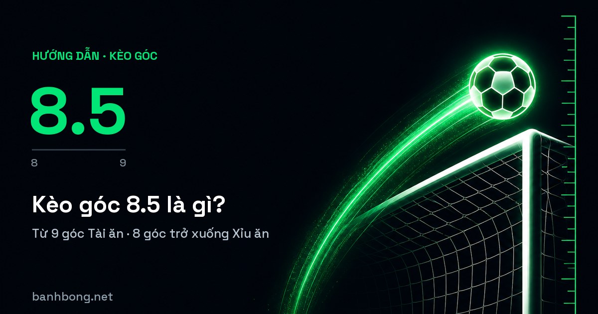 Kèo Góc 8.5 Là Gì? Thắng Thua Tính Ra Sao